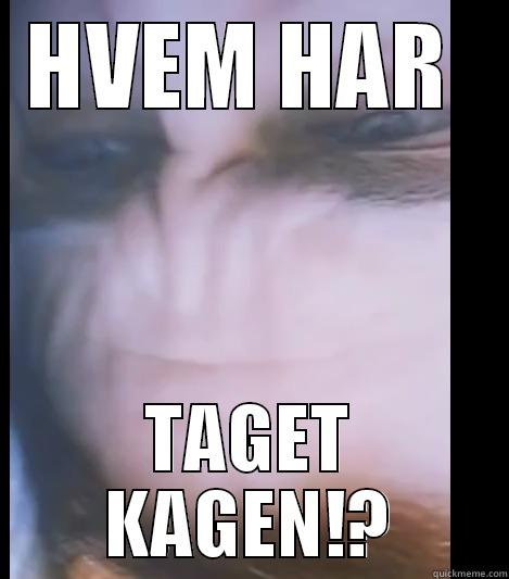 HVEM HAR  TAGET KAGEN!? Misc