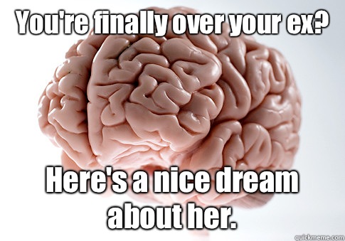 You're finally over your ex? Here's a nice dream about her.  Scumbag Brain