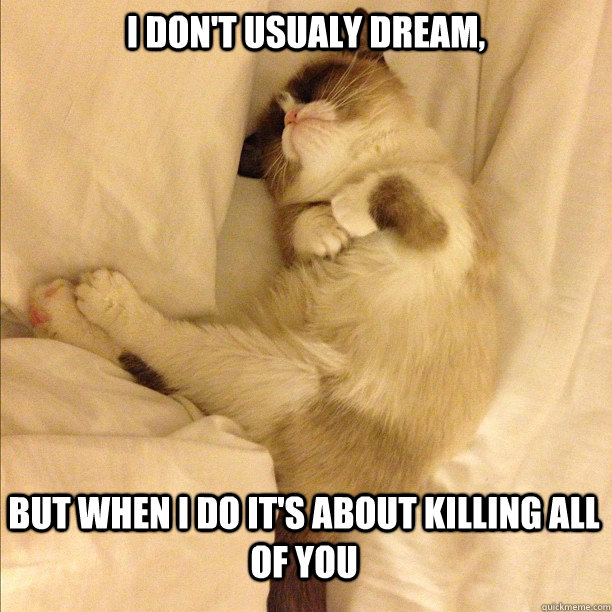 I don't usualy dream, But when I do it's about killing all of you  Sleeping Grumpy Cat