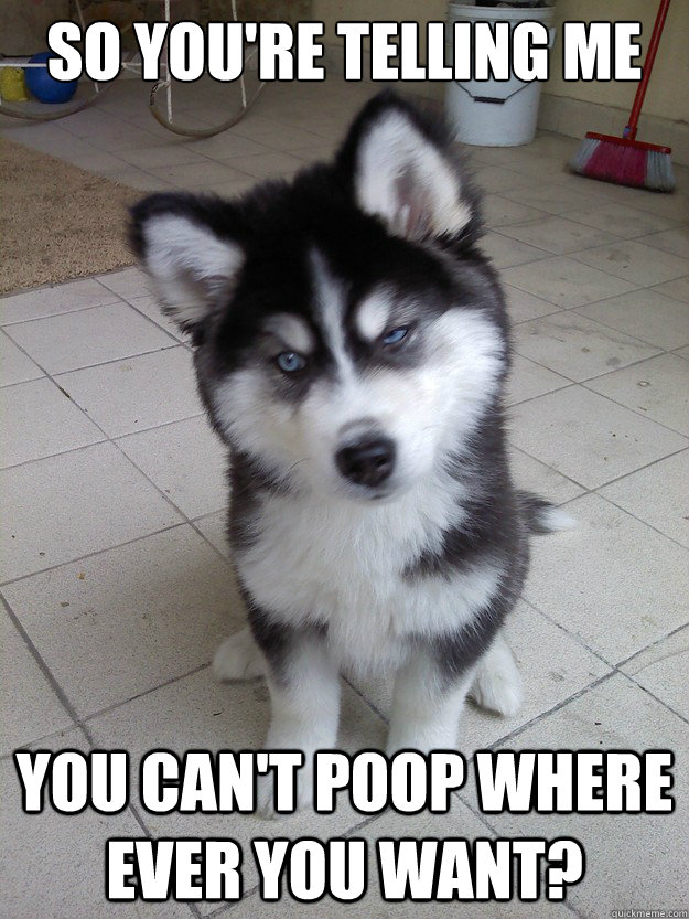 So you're telling me you can't poop where ever you want?  Skeptical Newborn Puppy