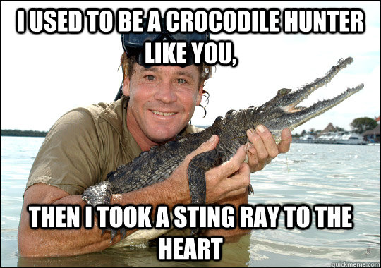 I used to be a crocodile hunter like you, then I took a sting ray to the heart - I used to be a crocodile hunter like you, then I took a sting ray to the heart  Crikey!