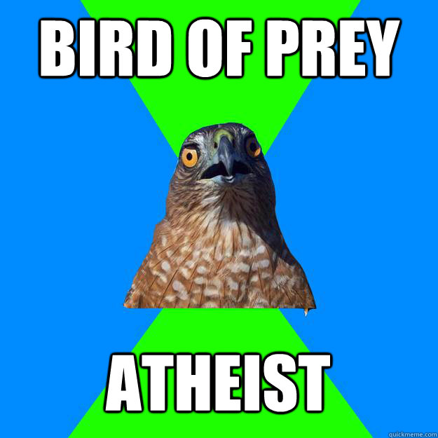 Bird of Prey Atheist  Hawkward