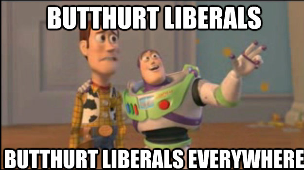 butthurt liberals butthurt liberals everywhere  Buzz and Woody