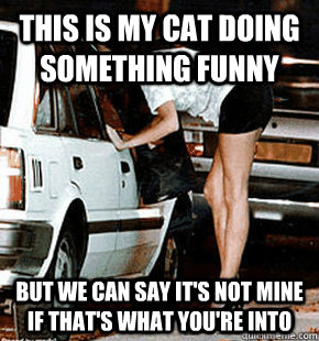 This is my cat doing something funny But we can say it's not mine if that's what you're into  FB karma whore