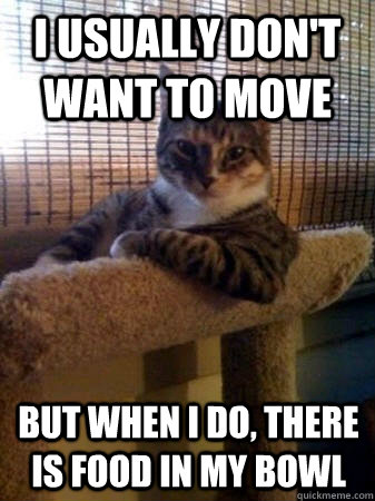 I usually don't want to move but when I do, there is food in my bowl  The Most Interesting Cat in the World