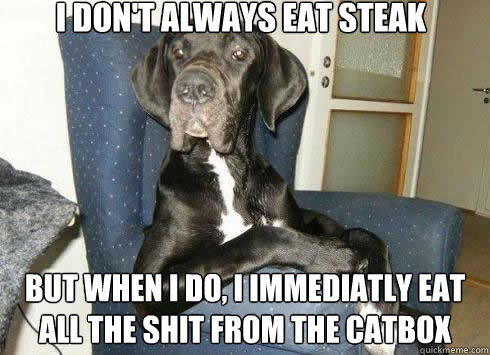 I don't always eat steak but when i do, I immediatly eat all the shit from the catbox - I don't always eat steak but when i do, I immediatly eat all the shit from the catbox  The Most Interesting Dog in the World