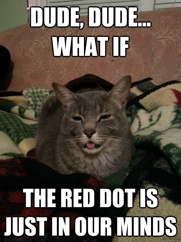 Dude, dude... what if The red dot is just in our minds  Stoned Cat