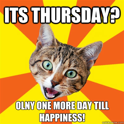 Its thursday? Olny one more day till happiness!  Bad Advice Cat