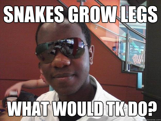 snakes grow legs  What would TK Do?  