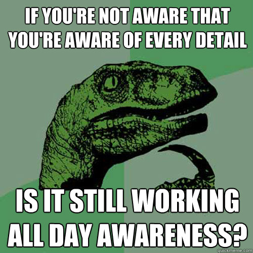 If you're not aware that you're aware of every detail Is it still working all day awareness?  Philosoraptor