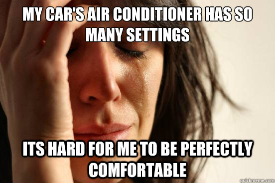 My car's Air Conditioner has so many settings   Its hard for me to be perfectly comfortable  First World Problems