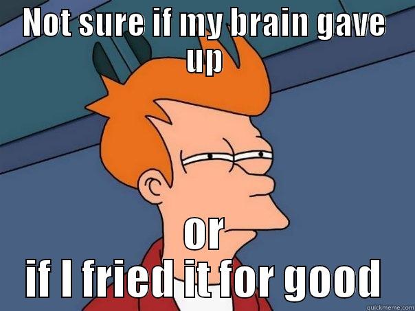 NOT SURE IF MY BRAIN GAVE UP OR IF I FRIED IT FOR GOOD Futurama Fry