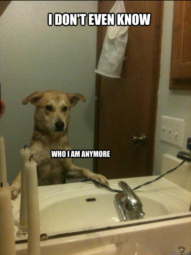 I Don't even know Who I am anymore - I Don't even know Who I am anymore  Misc