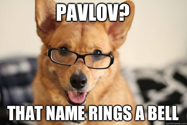 Pavlov? That name rings a bell - Pavlov? That name rings a bell  Freudawg
