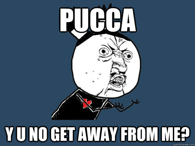 PUCCA Y U NO GET AWAY FROM ME? - PUCCA Y U NO GET AWAY FROM ME?  Y U No