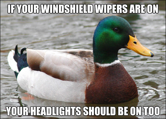 If your windshield wipers are on  Your headlights should be on too - If your windshield wipers are on  Your headlights should be on too  Actual Advice Mallard