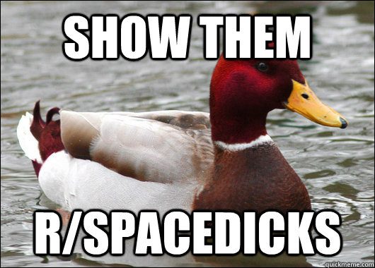 show them r/spacedicks  Malicious Advice Mallard