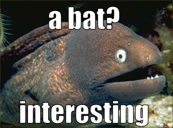 charl at KrAtOr - A BAT? INTERESTING Bad Joke Eel