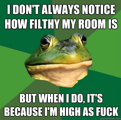 I don't always notice how filthy my room is but when i do, it's because i'm high as fuck  Foul Bachelor Frog