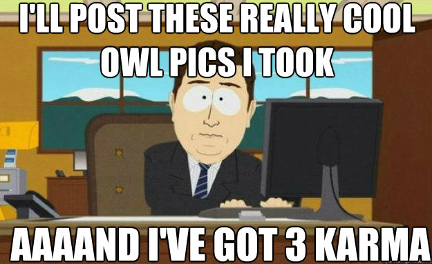 I'll post these really cool owl pics i took AAAAND i've got 3 karma  aaaand its gone