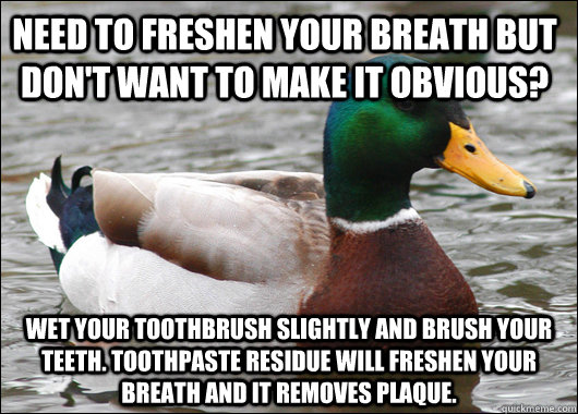 Need to freshen your breath but don't want to make it obvious? Wet your toothbrush slightly and brush your teeth. Toothpaste residue will freshen your breath and it removes plaque. - Need to freshen your breath but don't want to make it obvious? Wet your toothbrush slightly and brush your teeth. Toothpaste residue will freshen your breath and it removes plaque.  Actual Advice Mallard