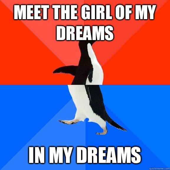 Meet the girl of my dreams In my dreams   Socially Awesome Awkward Penguin