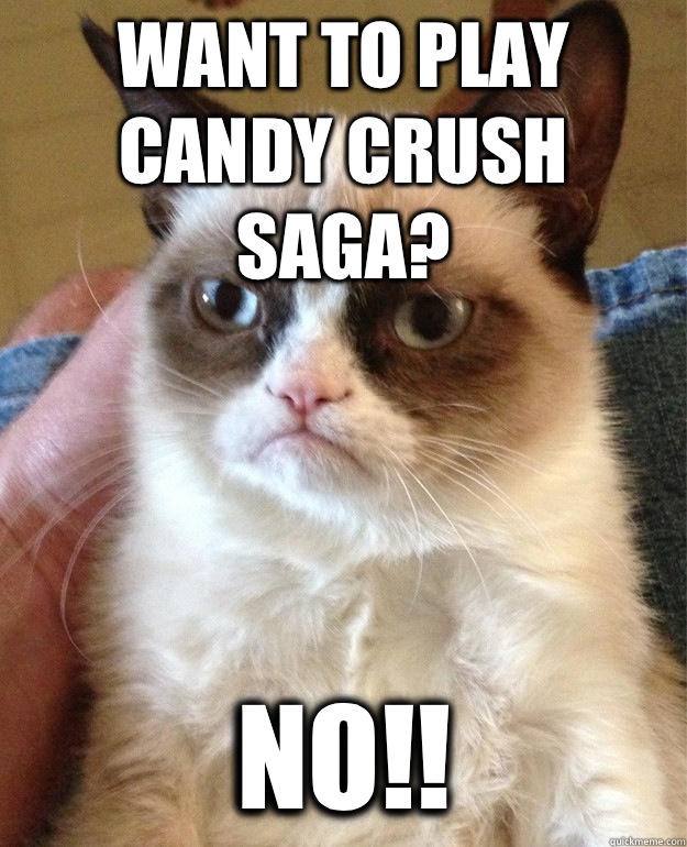 Want to play Candy Crush Saga? No!!  Angry Cat