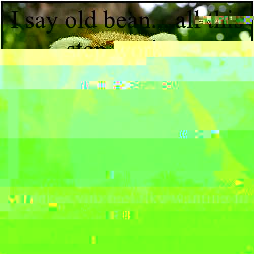 I say old bean....all this step work.... Makes you feel like wanting to join those nice chaps The Concordat Graduates!  Shady drug dealer red panda
