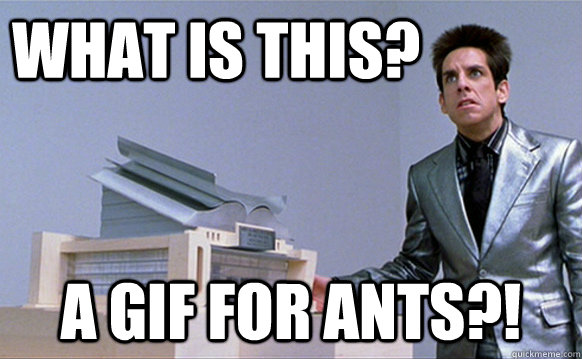 WHAT is this? a gif for ants?!  School for ants