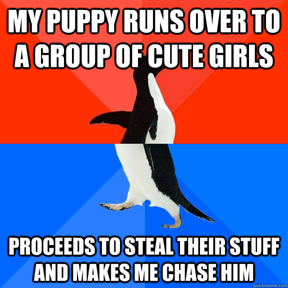 My puppy runs over to a group of cute girls proceeds to steal their stuff and makes me chase him  Socially Awesome Awkward Penguin