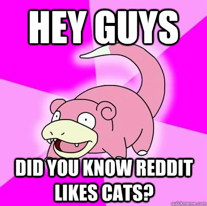 hey guys Did you know reddit likes cats?  Slowpoke