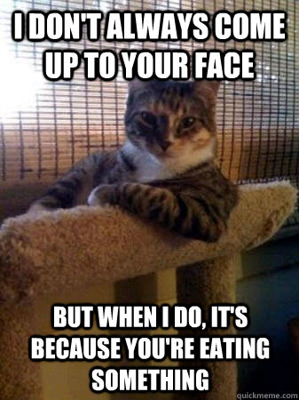i don't always come up to your face but when i do, it's because you're eating something  The Most Interesting Cat in the World