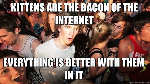 Kittens are the bacon of the internet Everything is better with them in it  Sudden Clarity Clarence