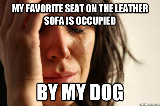 my favorite seat on the leather sofa is occupied by my dog  First World Problems