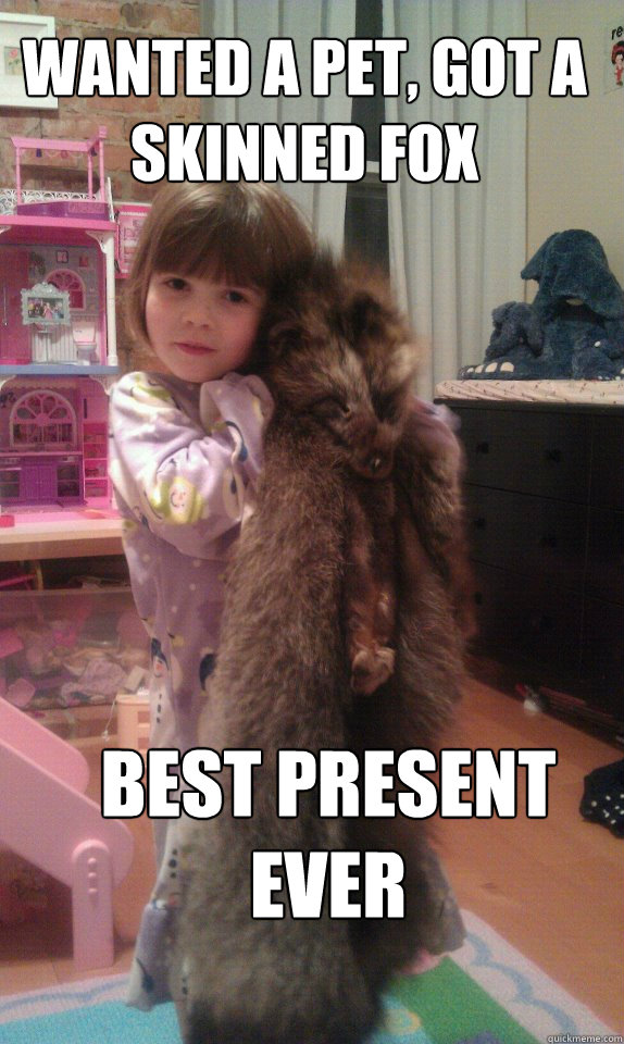 wanted a pet, got a skinned fox Best present ever  Best present ever