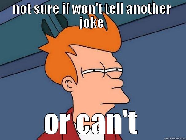 NOT SURE IF WON'T TELL ANOTHER JOKE OR CAN'T Futurama Fry