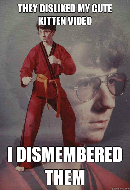 They disliked my cute kitten video i dismembered them  Karate Kyle