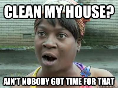 clean my house? Ain't Nobody Got Time For That  No Time Sweet Brown