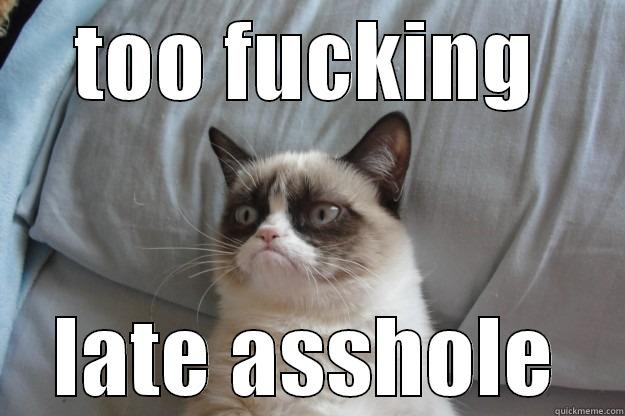 TOO FUCKING LATE ASSHOLE Grumpy Cat