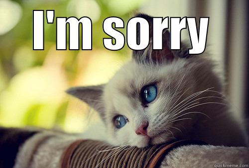 I'M SORRY  First World Problems Cat