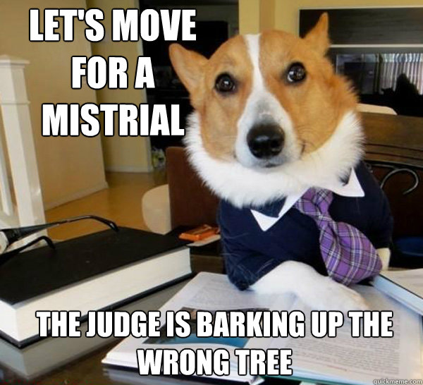 Let's move for a mistrial The judge is barking up the wrong tree  Lawyer Dog