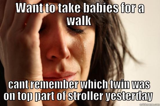  WANT TO TAKE BABIES FOR A WALK CANT REMEMBER WHICH TWIN WAS ON TOP PART OF STROLLER YESTERDAY  First World Problems