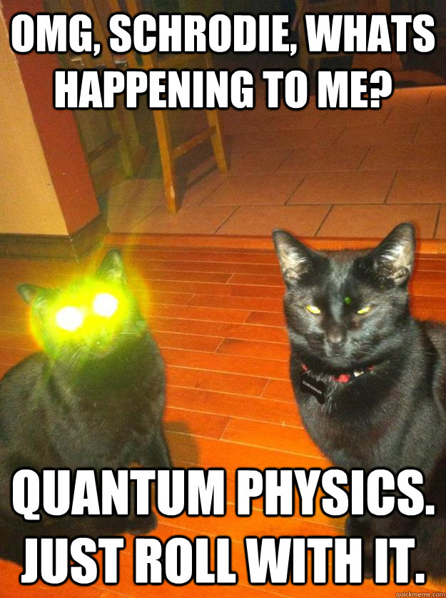 OMG, Schrodie, whats happening to me? Quantum Physics.  Just roll with it.  Quantum cat