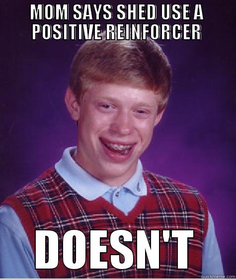 MOM SAYS SHED USE A POSITIVE REINFORCER DOESN'T Bad Luck Brian