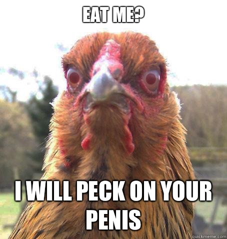 Eat me? I will peck on your penis  RageChicken