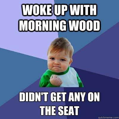 Woke up with morning wood Didn't get any on 
the seat  Success Kid