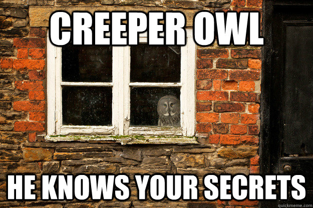 Creeper Owl He knows your secrets  