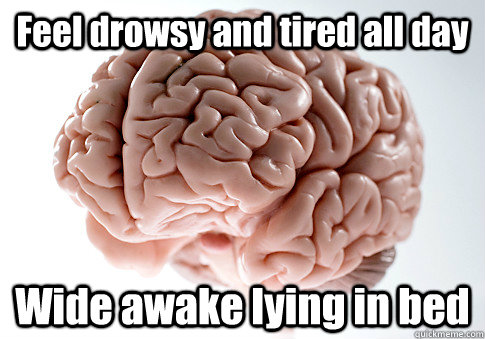 Feel drowsy and tired all day Wide awake lying in bed  - Feel drowsy and tired all day Wide awake lying in bed   Scumbag Brain