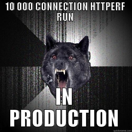 10 000 CONNECTION HTTPERF RUN IN PRODUCTION Insanity Wolf