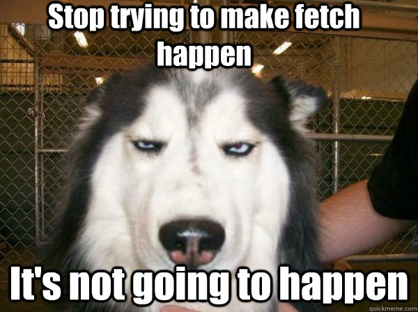 Stop trying to make fetch happen It's not going to happen  Bored Dog